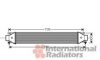 ITAL2 0051833975 Intercooler, charger